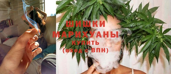 трава Беломорск