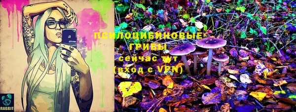 трава Беломорск