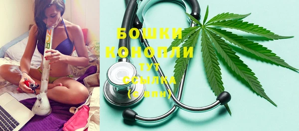 трава Беломорск